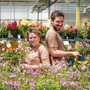 rester vrai vannes avis client